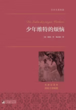 少年维特之烦恼