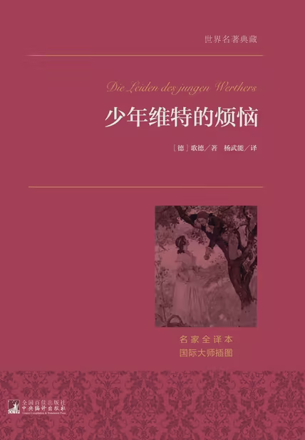 少年维特之烦恼