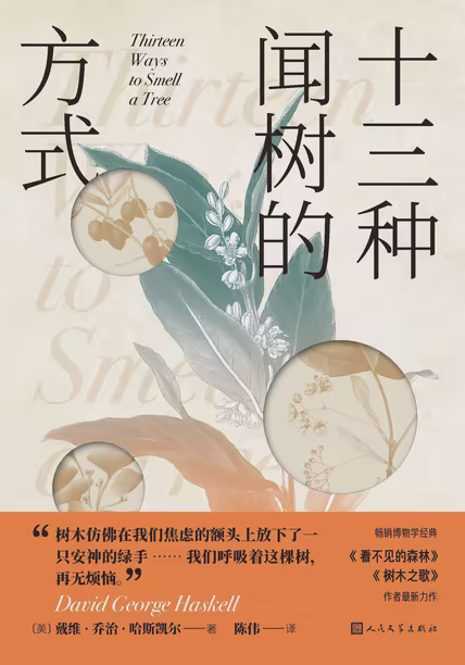 十三种闻树的方式