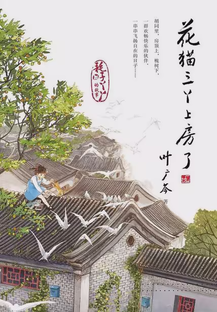 花猫三丫上房了