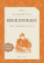 钢铁是怎样炼成的