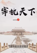 宰执天下