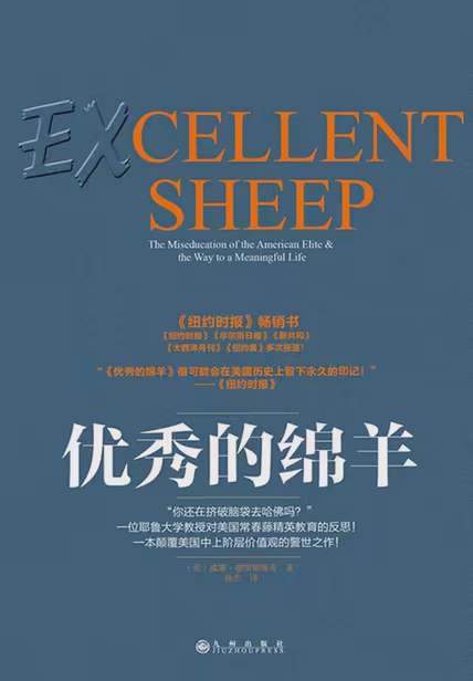 优秀的绵羊