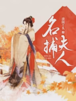 名捕夫人