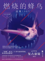 燃烧的蜂鸟：迷案1985