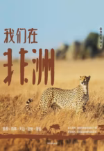 我们在非洲