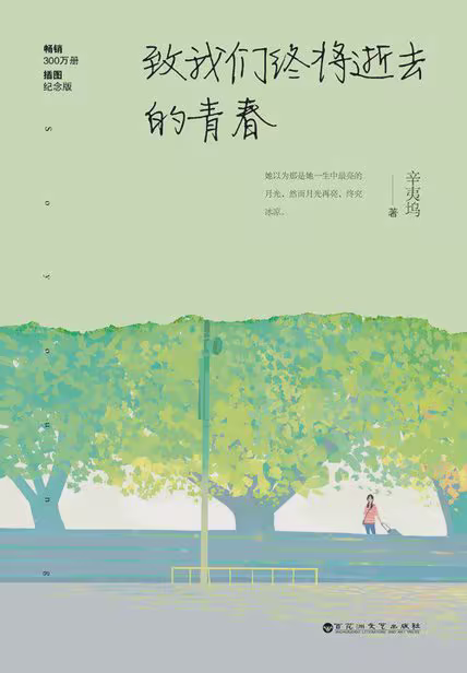 致我们终将逝去的青春