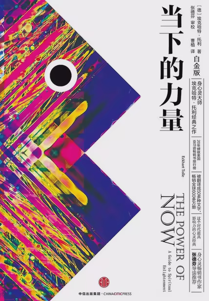 当下的力量（白金版）