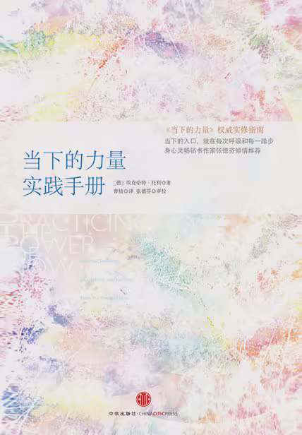 当下的力量实践手册