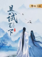 且试天下