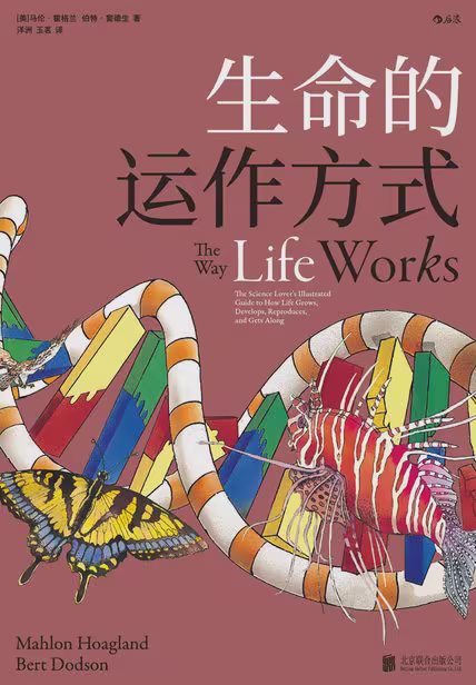 生命的运作方式