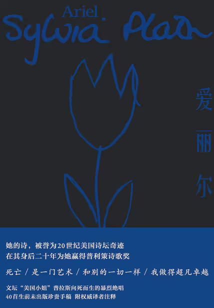 爱丽尔（果麦经典）