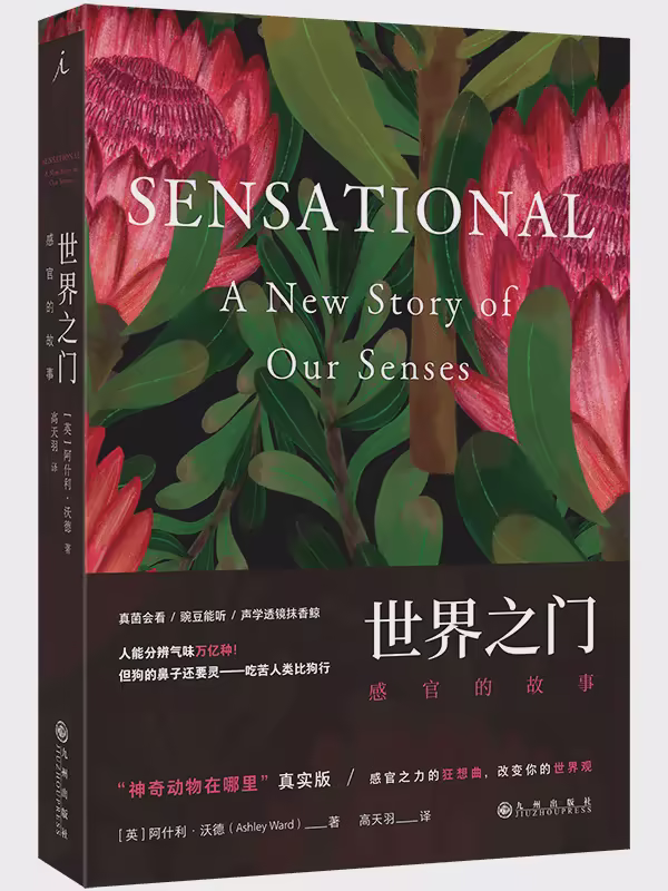 世界之门：感官的故事