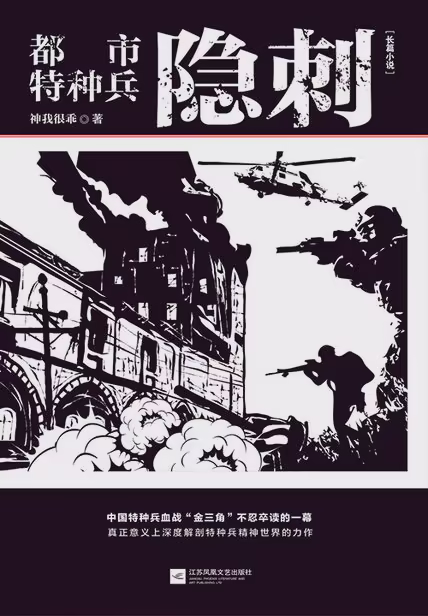 都市特种兵：隐刺