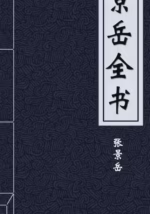 景岳全书