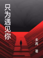 只为遇见你