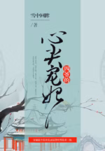 四爷的心尖宠妃