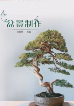 盆景制作