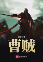 曹贼