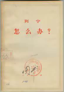 怎么办
