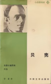 贝壳