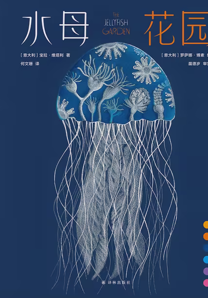 水母花园