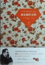 谁是谁的太阳：尼采随笔