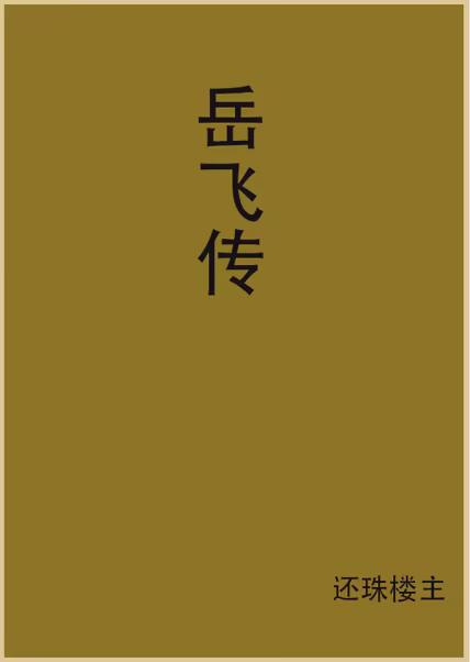 岳飞传