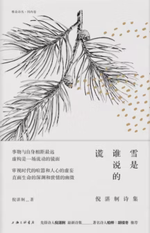 雪是谁说的谎：倪湛舸诗集