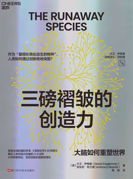 三磅褶皱的创造力