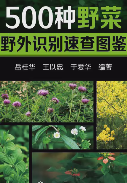 500种野菜野外识别速查图鉴