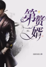 第一赘婿
