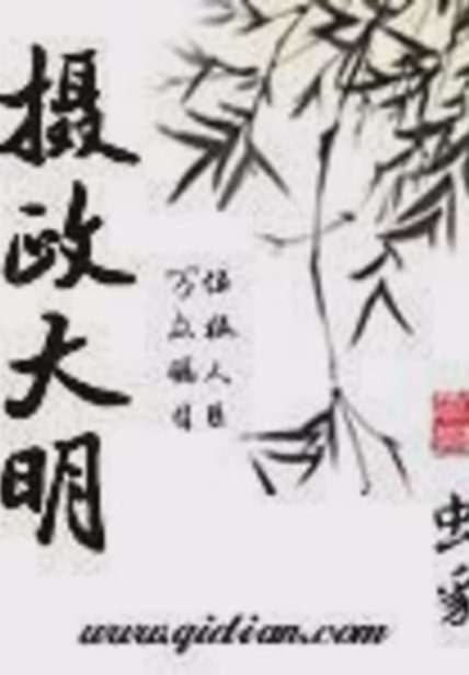 摄政大明