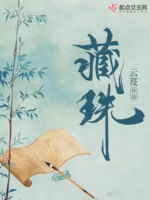 藏珠