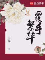 覆手繁华