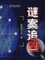谜案追凶