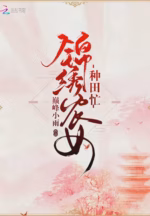 锦绣农女种田忙