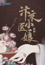 汴京小医娘