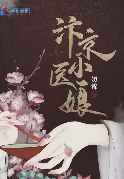 汴京小医娘