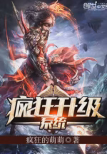 疯狂升级系统