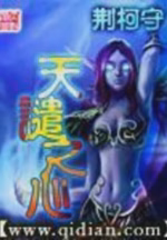 天谴之心