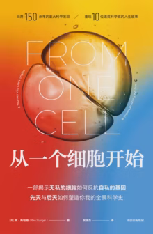 从一个细胞开始