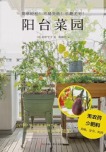 阳台菜园