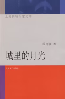 城里的月光