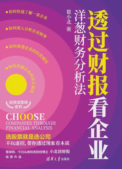 透过财报看企业：洋葱财务分析法