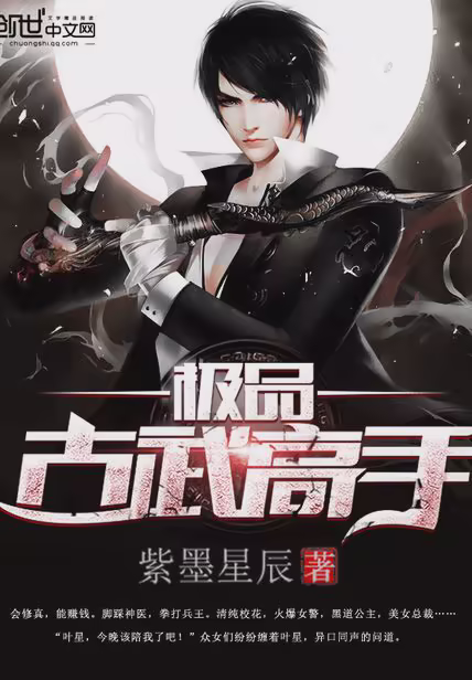 极品古武高手