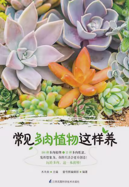 常见多肉植物这样养